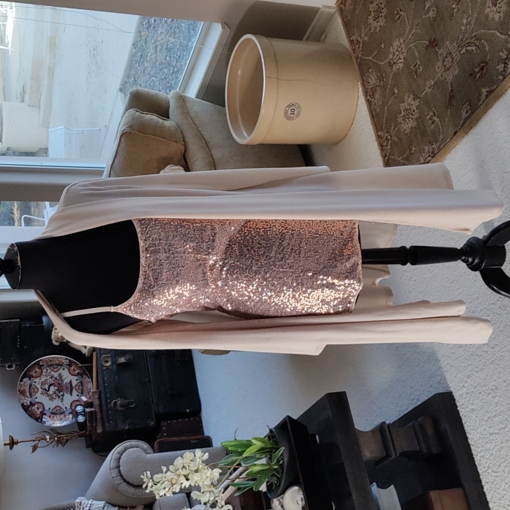 Day Trip Stretchy Sequined Tank Dress.